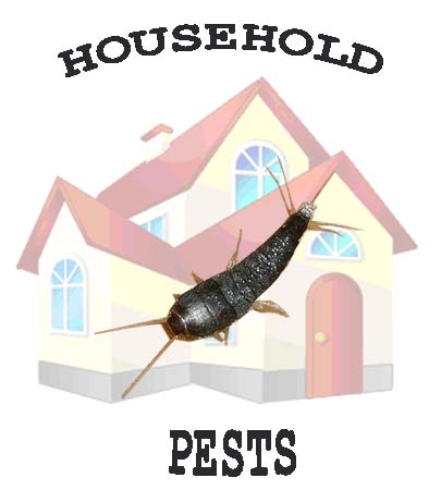 Getting Rid of Household Pests