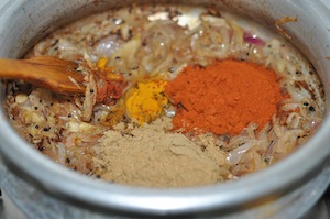 nadan chicken curry - cook spices