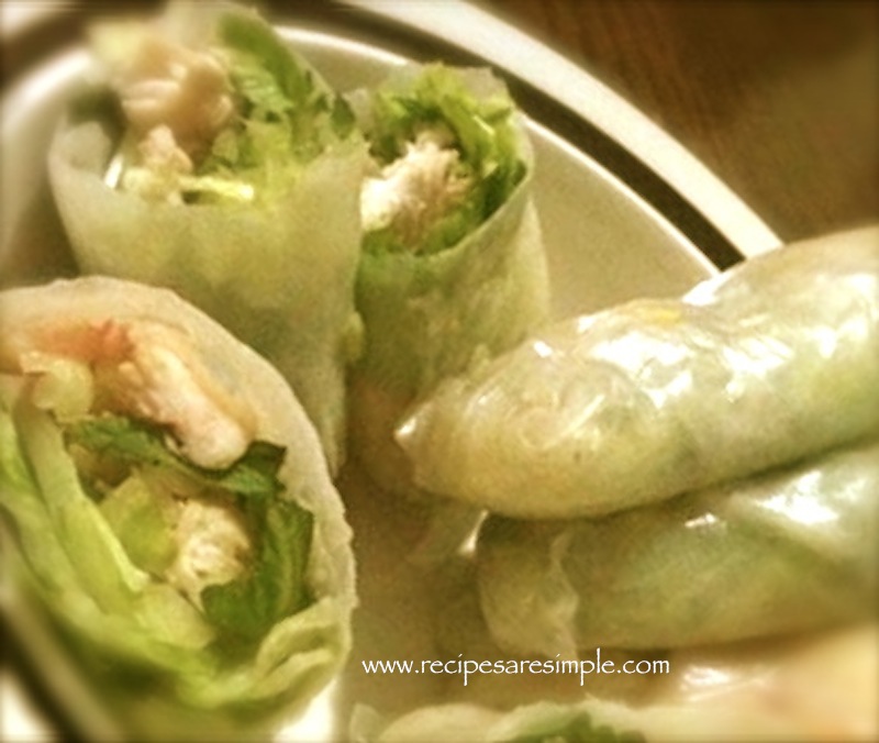 Vietnamese Fresh Spring Rolls with Chicken and Shrimp with Dipping Sauce