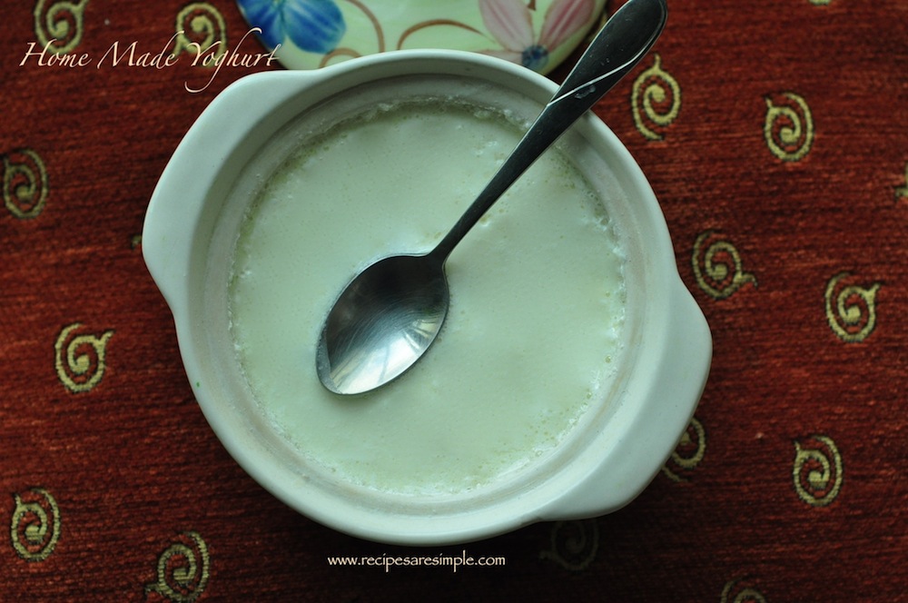 How to make Perfect Yoghurt