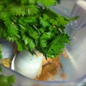 seekh kabab fresh coriander to processor 300x300 Seekh Kabab   Afghan Chicken Kebabs