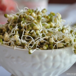 best way to spout mung beans 300x300 Vegetarian and Egg Recipes
