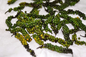 Green Peppercorn in Brine Recipe 2 Green Peppercorn in Brine Recipe