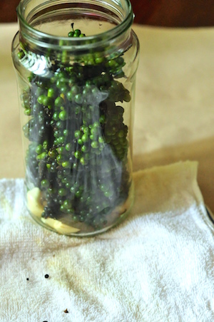 Green Peppercorn in Brine Recipe 4 Green Peppercorn in Brine Recipe