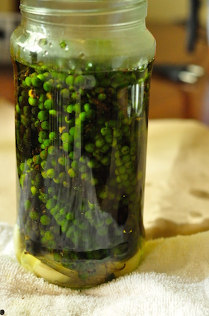 Green Peppercorn in Brine Recipe 5 Green Peppercorn in Brine Recipe