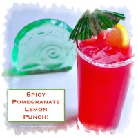 spicy pomegranate lemon punch 200x200 North Indian Cuisine