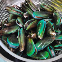 Stuffed Mussels Kallumakkaya Nirachathu mussels drained 200x199 Stuffed Mussels | Kallumakkaya Nirachathu