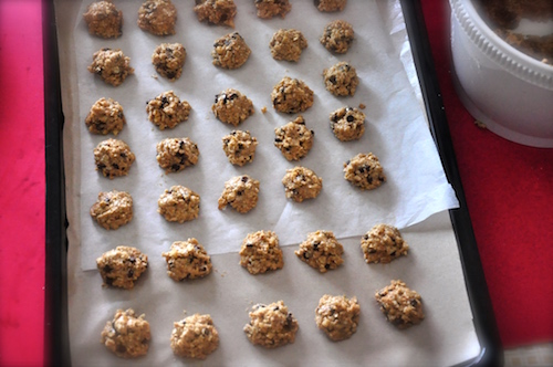 oatmeal chocolate chip cookies ion baking tray Oatmeal Chocolate Chip Cookies