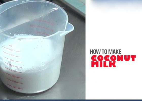 How to make Fresh Coconut Milk – Video