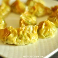 Chinese Chicken Dumplings Chinese Steamed Dumplings  200x200 Delicious Chicken Recipes