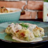 Spoon Magnet Chicken Roast