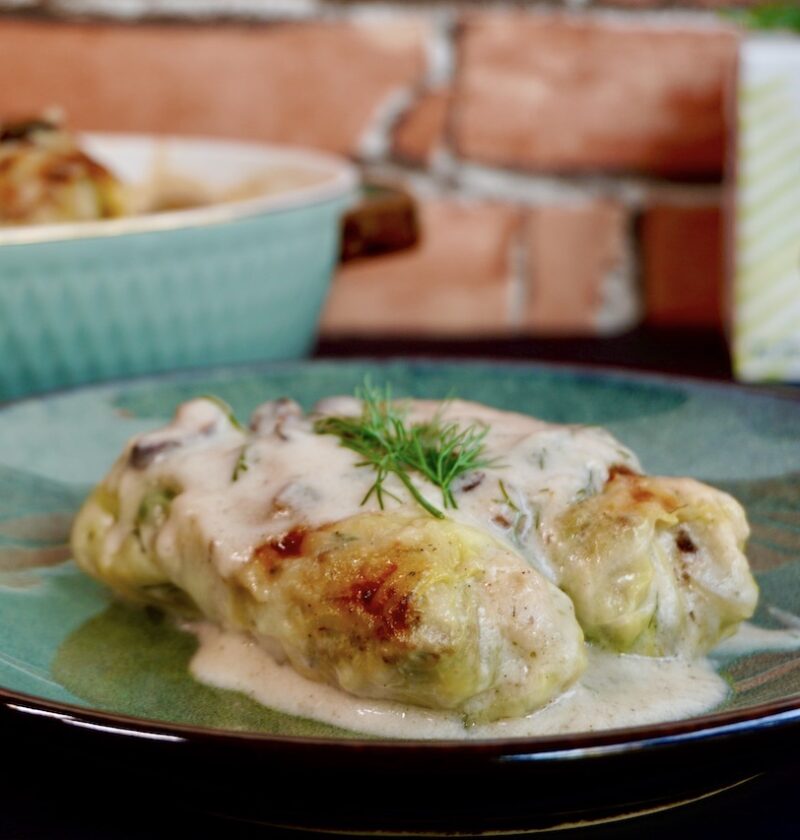 Gołąbki in Coconut Mushroom Sauce copy